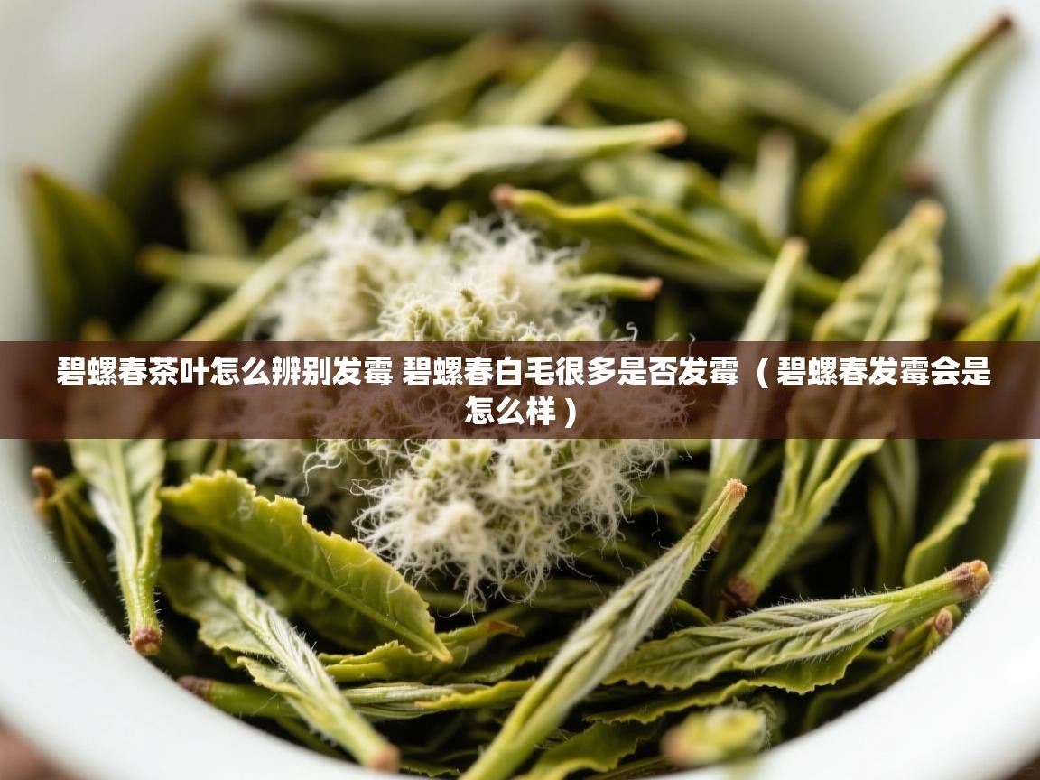 碧螺春茶叶怎么辨别发霉 碧螺春白毛很多是否发霉  ( 碧螺春发霉会是怎么样 )  碧螺春茶叶怎么辨别发霉 碧螺春白毛很多是否发霉  ( 碧螺春发霉会是怎么样 )