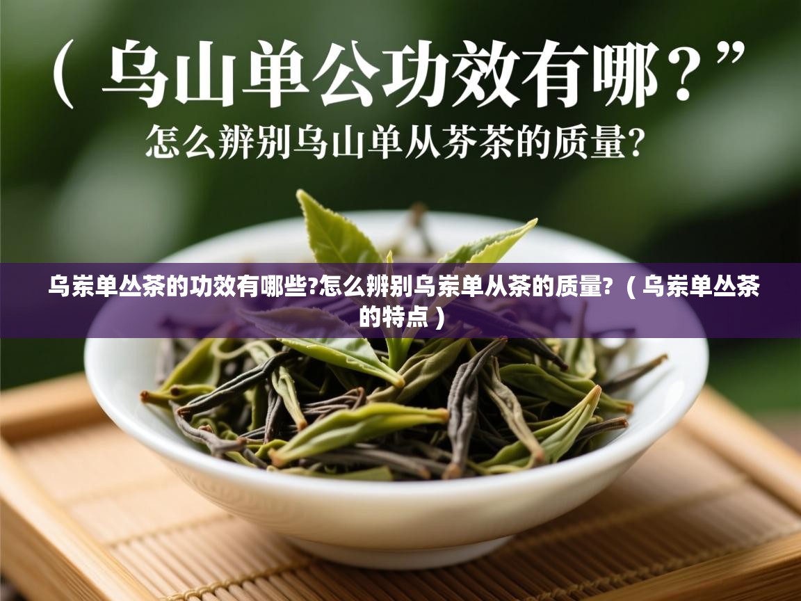  乌岽单丛茶的功效有哪些?怎么辨别乌岽单从茶的质量?  ( 乌岽单丛茶的特点 )