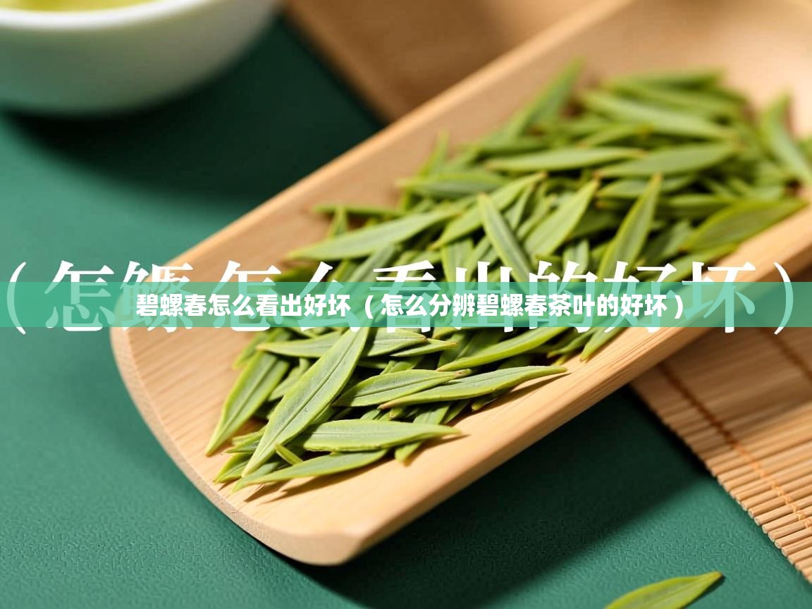 碧螺春怎么看出好坏  ( 怎么分辨碧螺春茶叶的好坏 )  碧螺春怎么看出好坏  ( 怎么分辨碧螺春茶叶的好坏 )