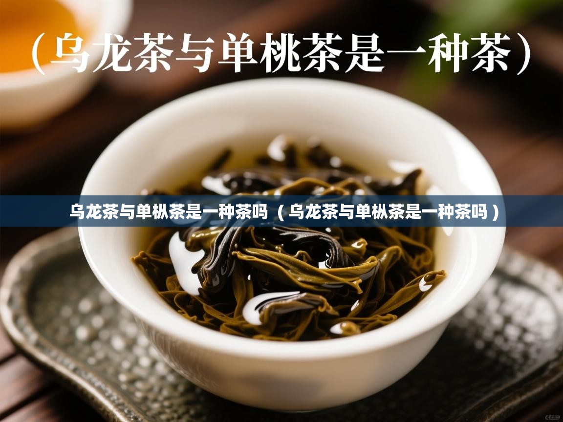  乌龙茶与单枞茶是一种茶吗  ( 乌龙茶与单枞茶是一种茶吗 )