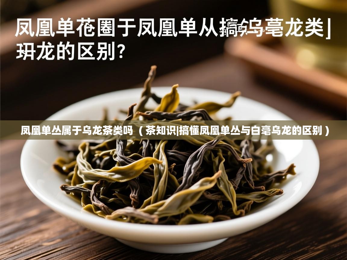  凤凰单丛属于乌龙茶类吗  ( 茶知识|搞懂凤凰单丛与白毫乌龙的区别 )
