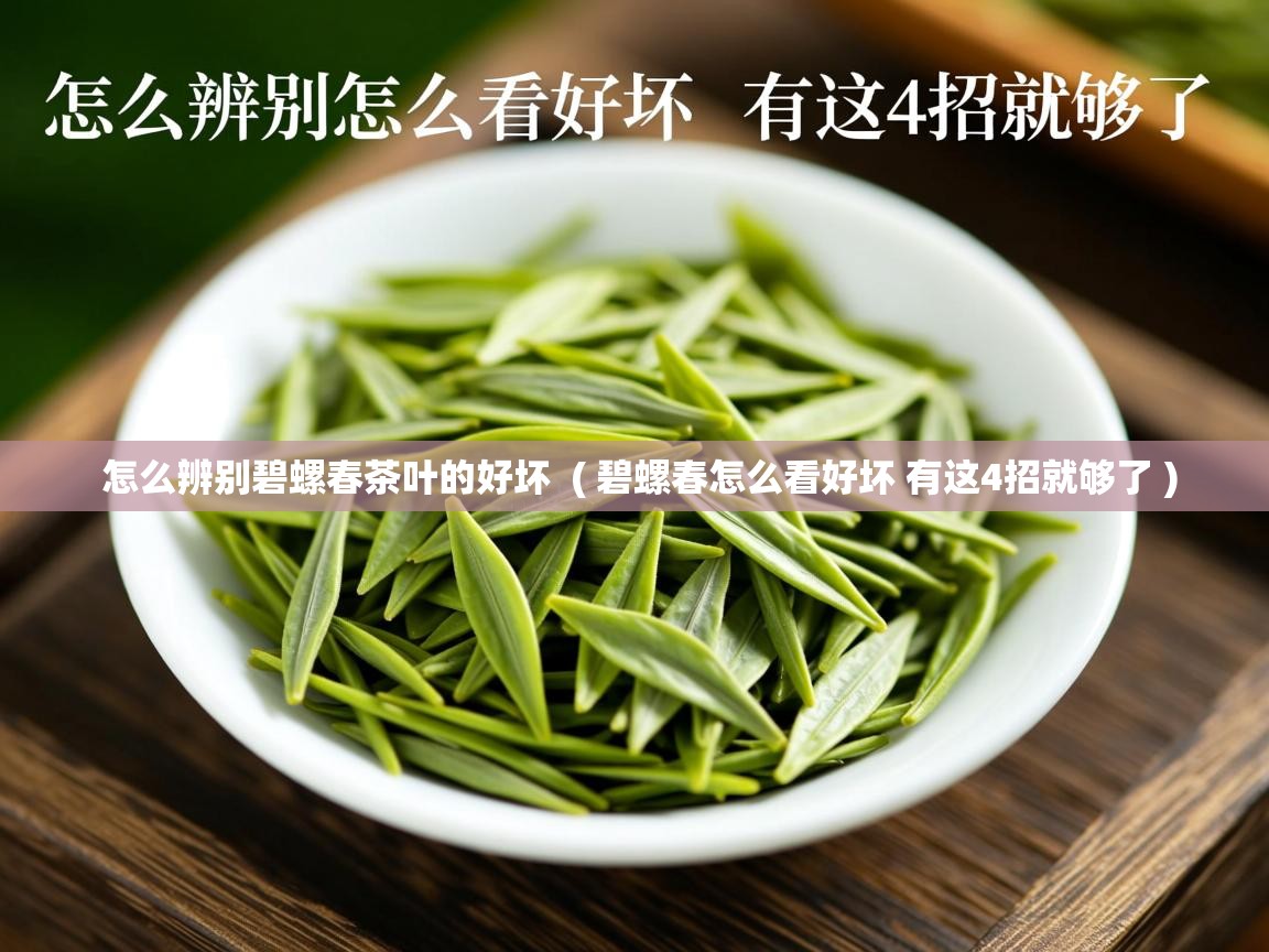 怎么辨别碧螺春茶叶的好坏  ( 碧螺春怎么看好坏 有这4招就够了 )  怎么辨别碧螺春茶叶的好坏  ( 碧螺春怎么看好坏 有这4招就够了 )