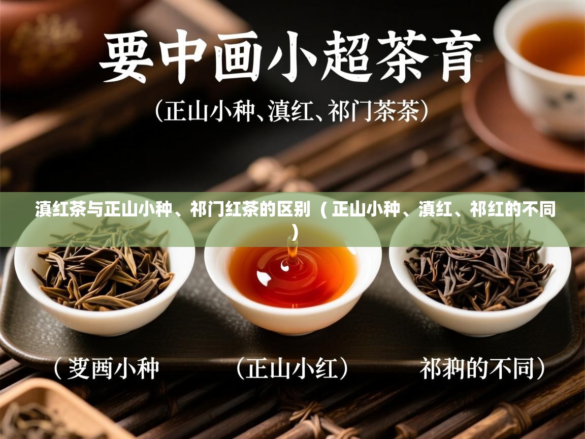滇红茶与正山小种、祁门红茶的区别  ( 正山小种、滇红、祁红的不同 )  滇红茶与正山小种、祁门红茶的区别  ( 正山小种、滇红、祁红的不同 )