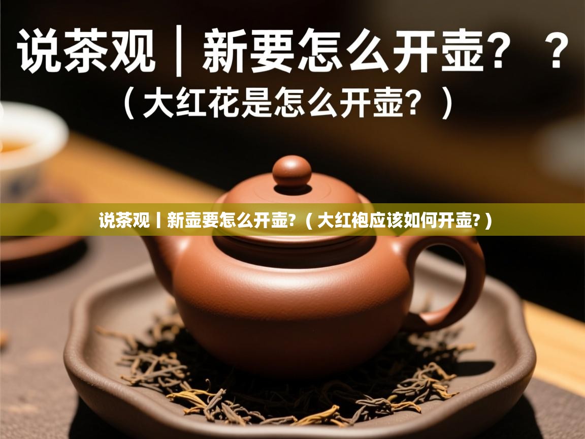  说茶观丨新壶要怎么开壶?  ( 大红袍应该如何开壶? )