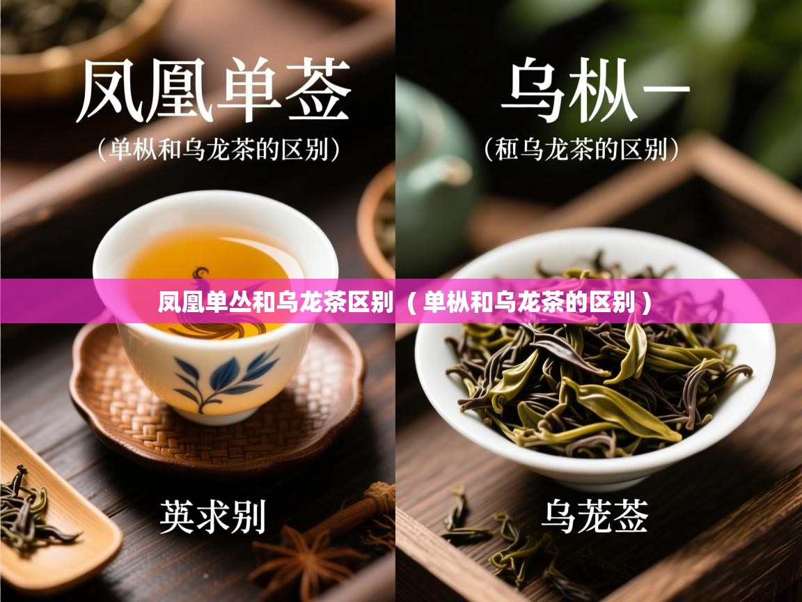 详细阅读: 凤凰单丛和乌龙茶区别  ( 单枞和乌龙茶的区别 )  凤凰单丛和乌龙茶区别  ( 单枞和乌龙茶的区别 )