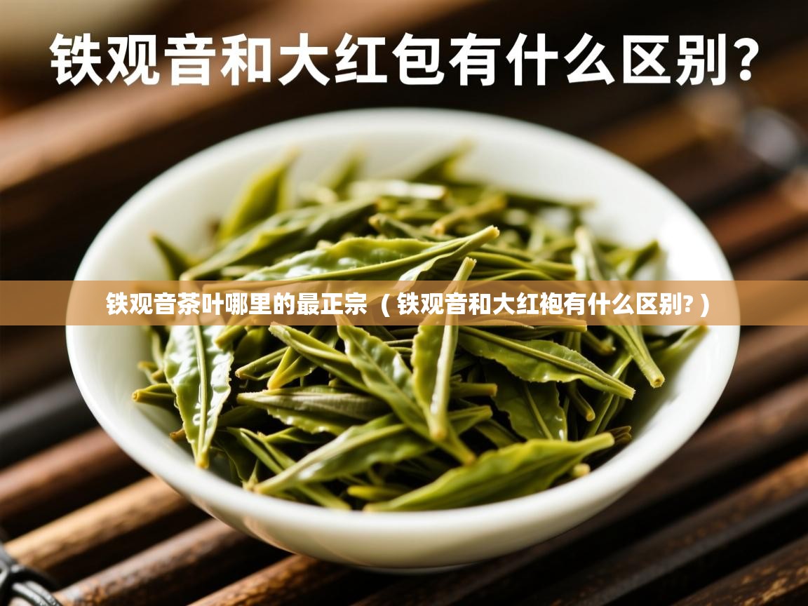 铁观音茶叶哪里的最正宗  ( 铁观音和大红袍有什么区别? )  铁观音茶叶哪里的最正宗  ( 铁观音和大红袍有什么区别? )