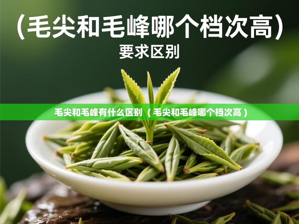 毛尖和毛峰有什么区别  ( 毛尖和毛峰哪个档次高 )  毛尖和毛峰有什么区别  ( 毛尖和毛峰哪个档次高 )