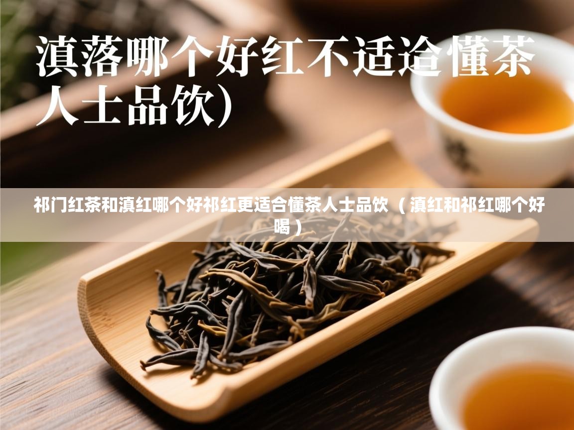 祁门红茶和滇红哪个好祁红更适合懂茶人士品饮  ( 滇红和祁红哪个好喝 )  祁门红茶和滇红哪个好祁红更适合懂茶人士品饮  ( 滇红和祁红哪个好喝 )