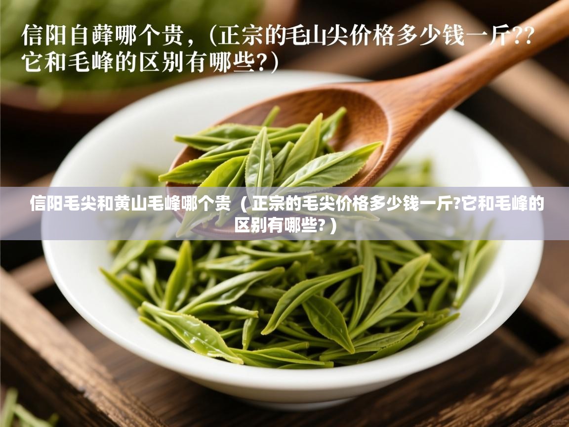  信阳毛尖和黄山毛峰哪个贵  ( 正宗的毛尖价格多少钱一斤?它和毛峰的区别有哪些? )