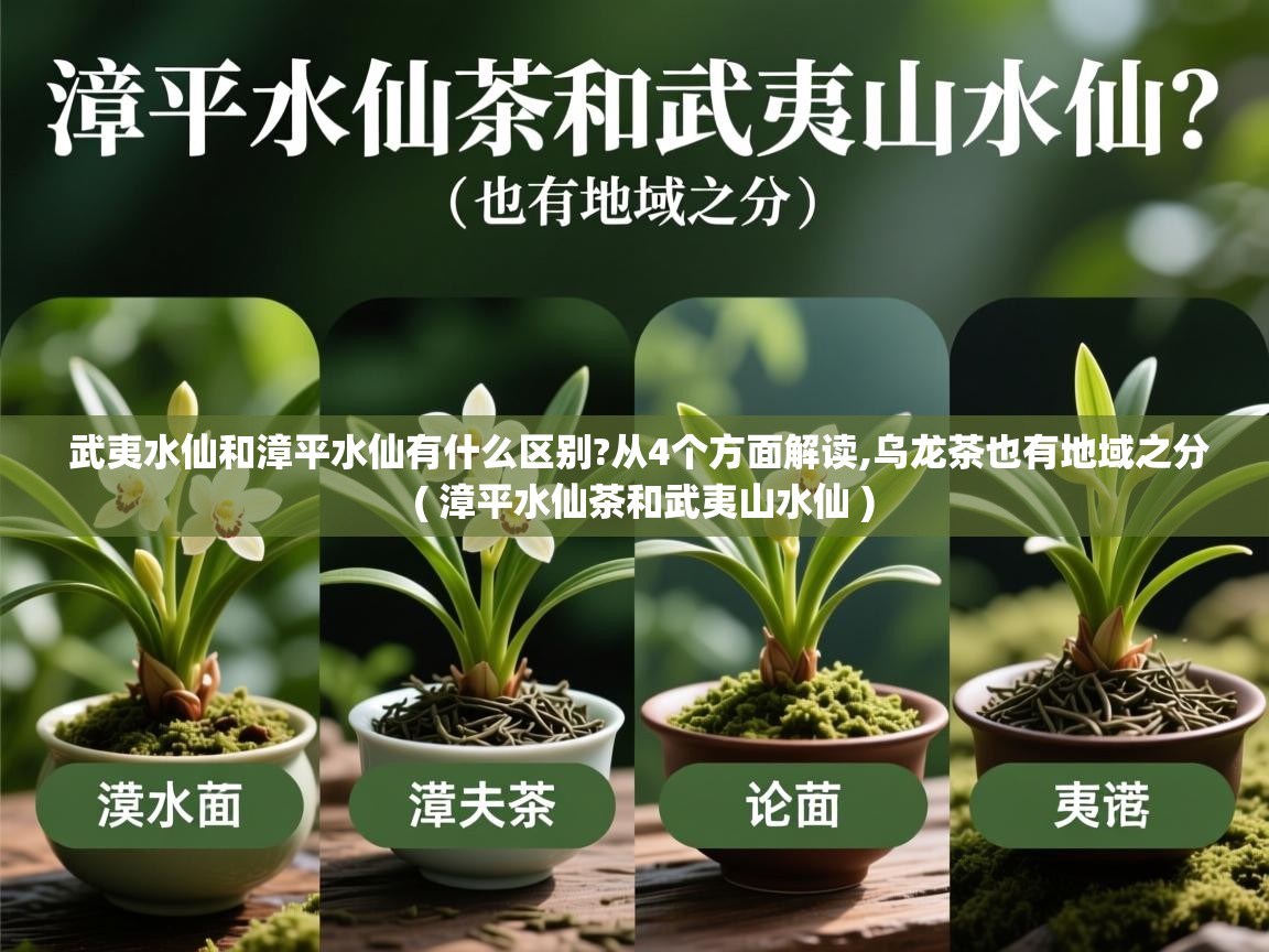详细阅读: 武夷水仙和漳平水仙有什么区别?从4个方面解读,乌龙茶也有地域之分  ( 漳平水仙茶和武夷山水仙 )  武夷水仙和漳平水仙有什么区别?从4个方面解读,乌龙茶也有地域之分  ( 漳平水仙茶和武夷山水仙 )