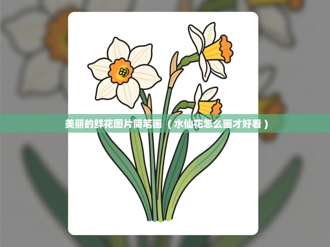 美丽的鲜花图片简笔画  ( 水仙花怎么画才好看 )  美丽的鲜花图片简笔画  ( 水仙花怎么画才好看 )