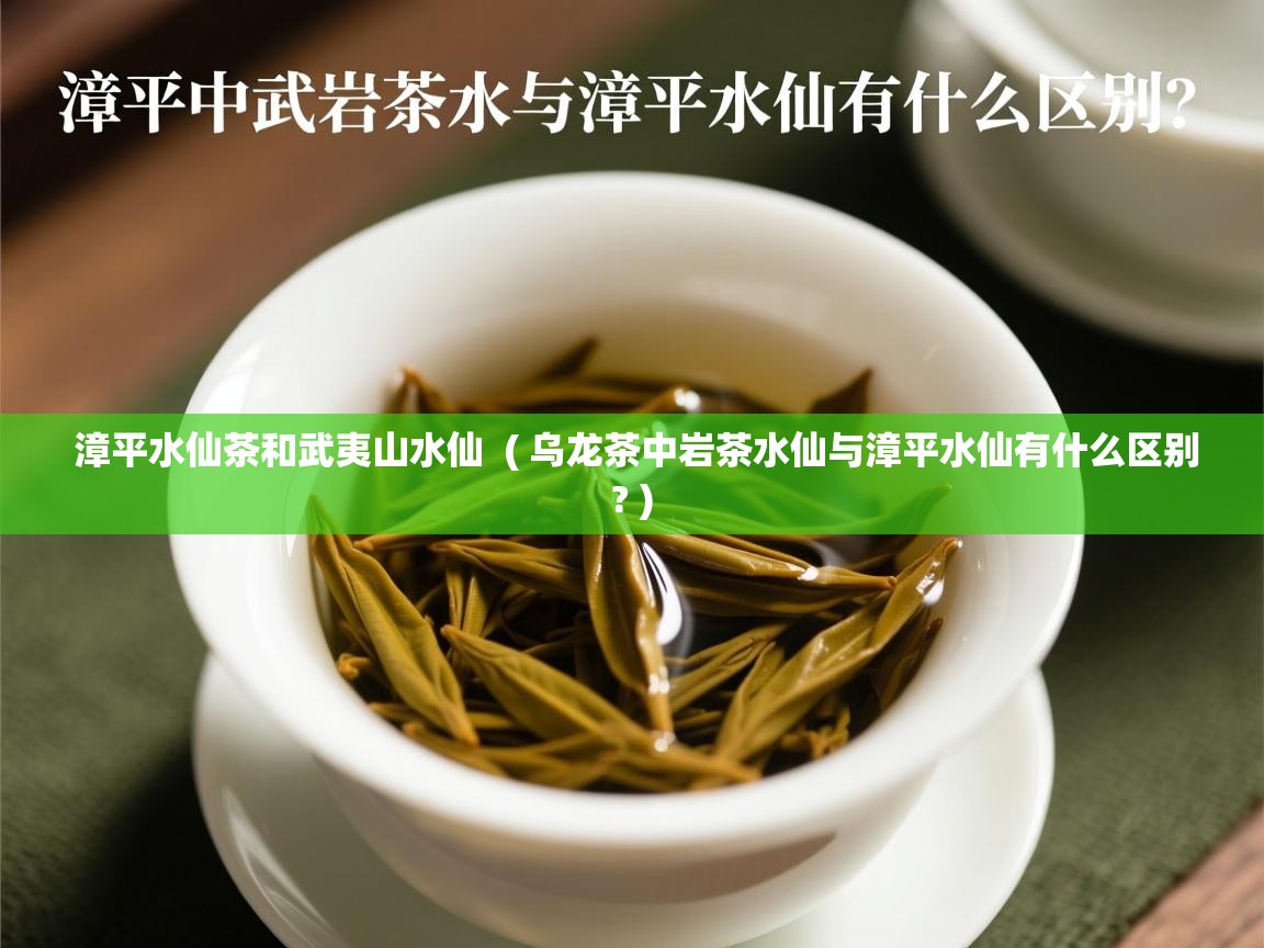 漳平水仙茶和武夷山水仙  ( 乌龙茶中岩茶水仙与漳平水仙有什么区别? )  漳平水仙茶和武夷山水仙  ( 乌龙茶中岩茶水仙与漳平水仙有什么区别? )
