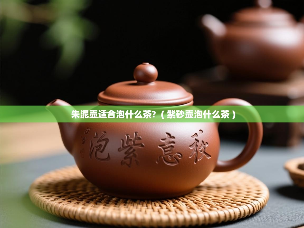  朱泥壶适合泡什么茶?  ( 紫砂壶泡什么茶 )