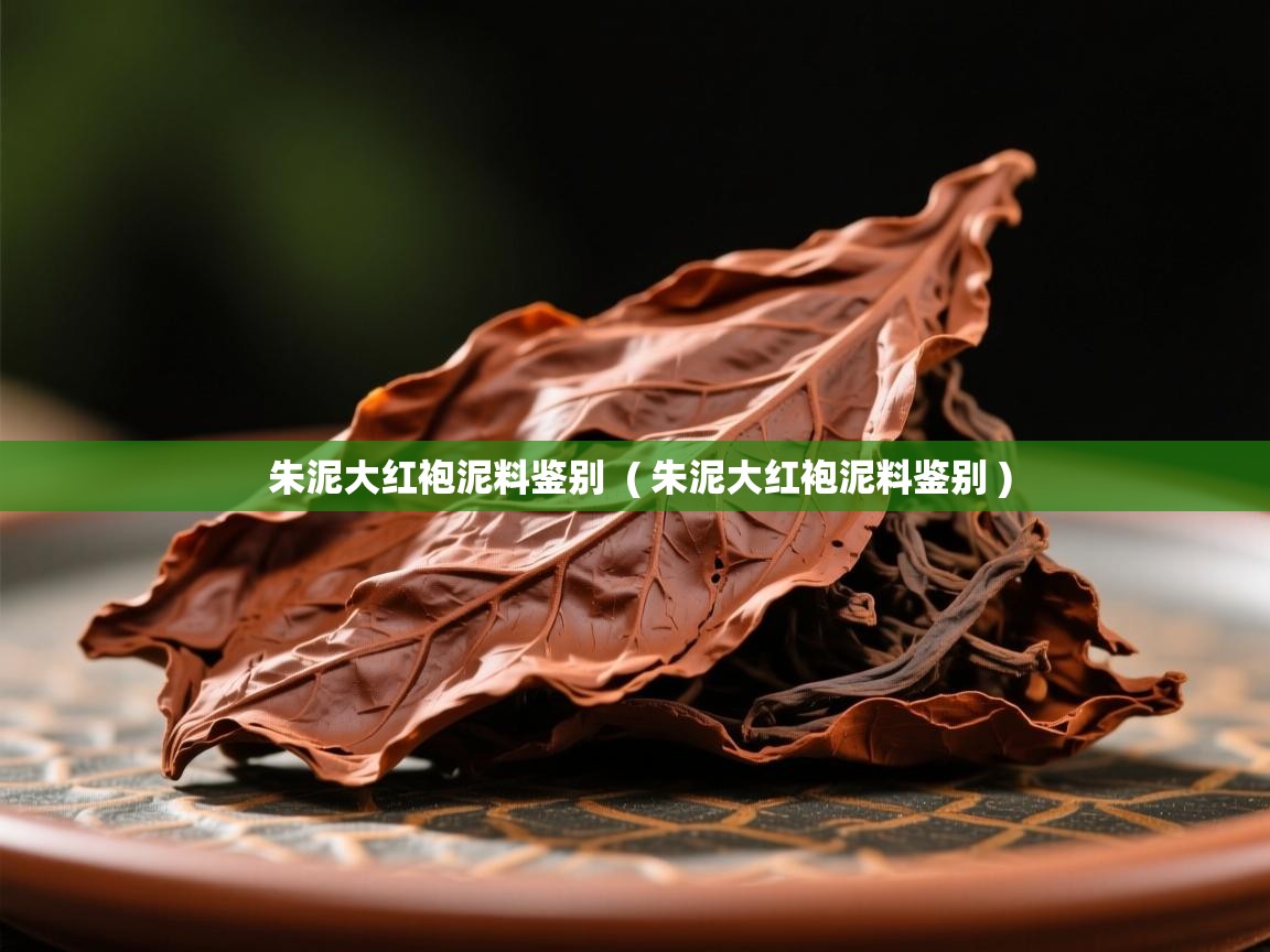  朱泥大红袍泥料鉴别  ( 朱泥大红袍泥料鉴别 )