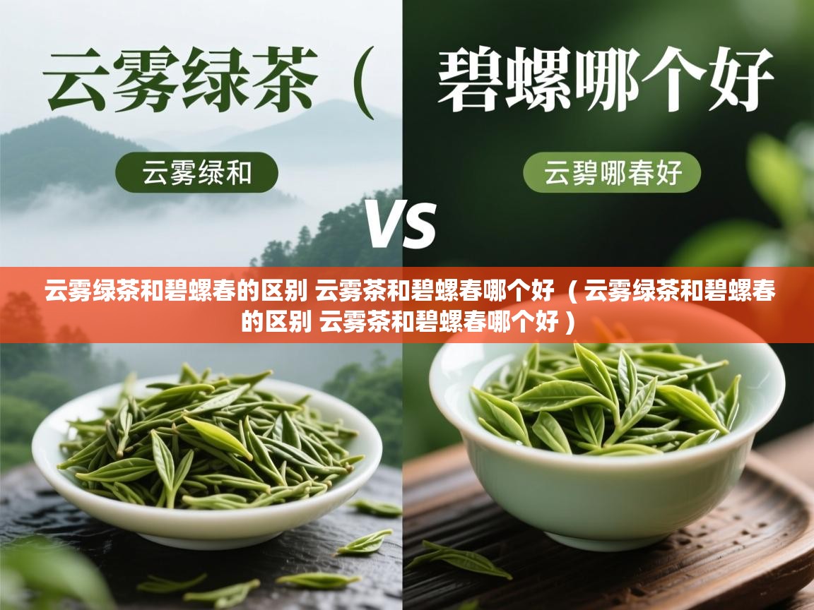 云雾绿茶和碧螺春的区别 云雾茶和碧螺春哪个好  ( 云雾绿茶和碧螺春的区别 云雾茶和碧螺春哪个好 )  云雾绿茶和碧螺春的区别 云雾茶和碧螺春哪个好  ( 云雾绿茶和碧螺春的区别 云雾茶和碧螺春哪个好 )