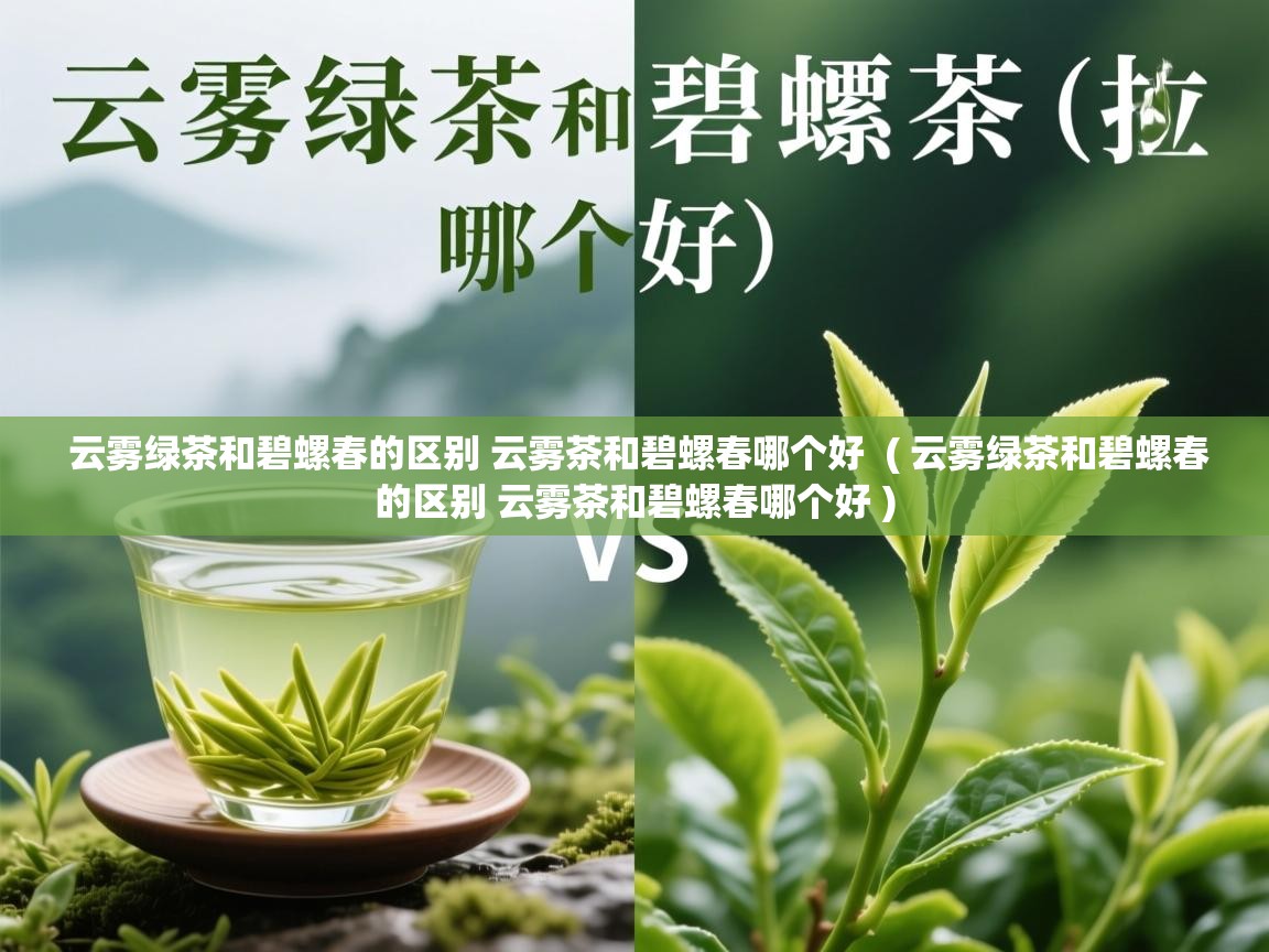 云雾绿茶和碧螺春的区别 云雾茶和碧螺春哪个好  ( 云雾绿茶和碧螺春的区别 云雾茶和碧螺春哪个好 )  云雾绿茶和碧螺春的区别 云雾茶和碧螺春哪个好  ( 云雾绿茶和碧螺春的区别 云雾茶和碧螺春哪个好 )