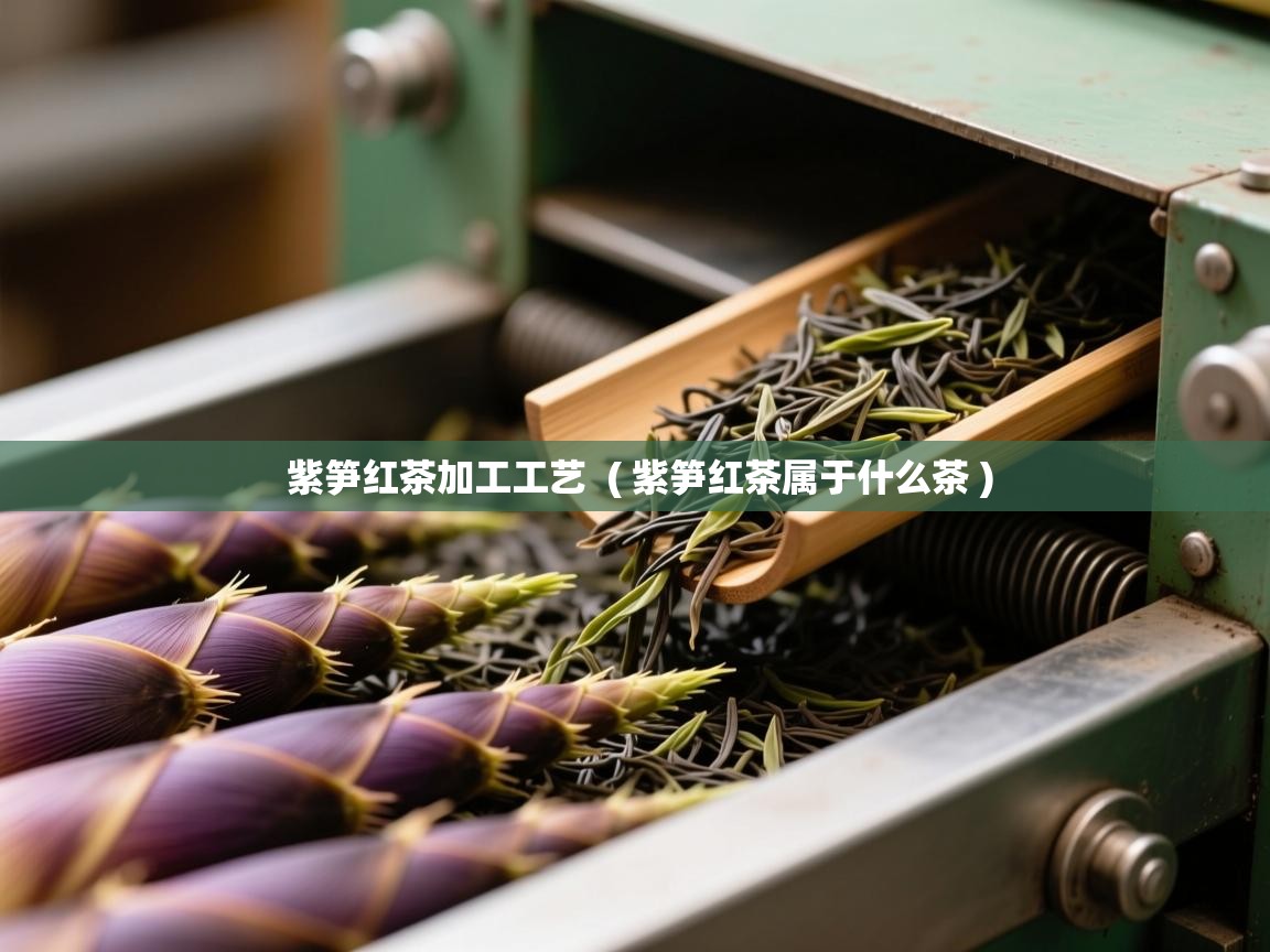 紫笋红茶加工工艺  ( 紫笋红茶属于什么茶 )  紫笋红茶加工工艺  ( 紫笋红茶属于什么茶 )