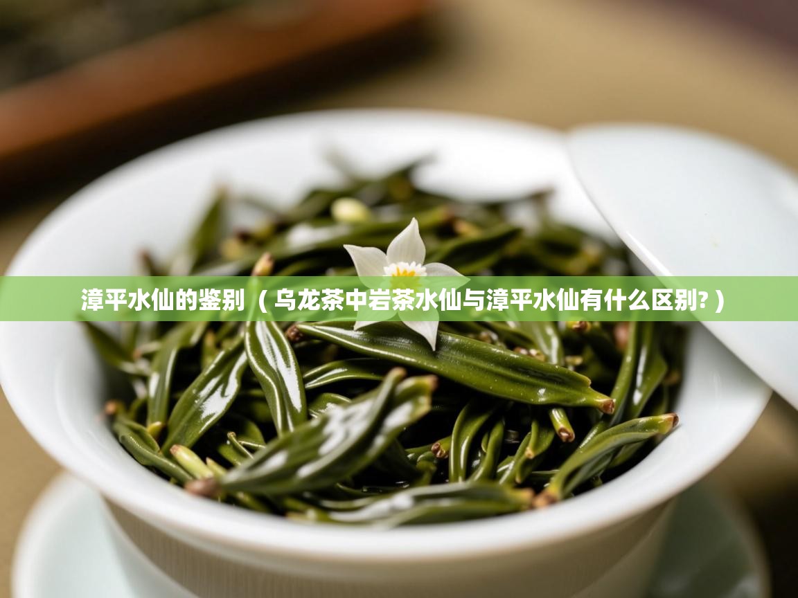 漳平水仙的鉴别  ( 乌龙茶中岩茶水仙与漳平水仙有什么区别? )  漳平水仙的鉴别  ( 乌龙茶中岩茶水仙与漳平水仙有什么区别? )