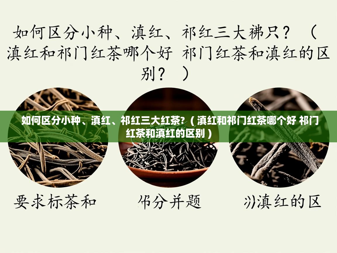 如何区分小种、滇红、祁红三大红茶?  ( 滇红和祁门红茶哪个好 祁门红茶和滇红的区别 )  如何区分小种、滇红、祁红三大红茶?  ( 滇红和祁门红茶哪个好 祁门红茶和滇红的区别 )