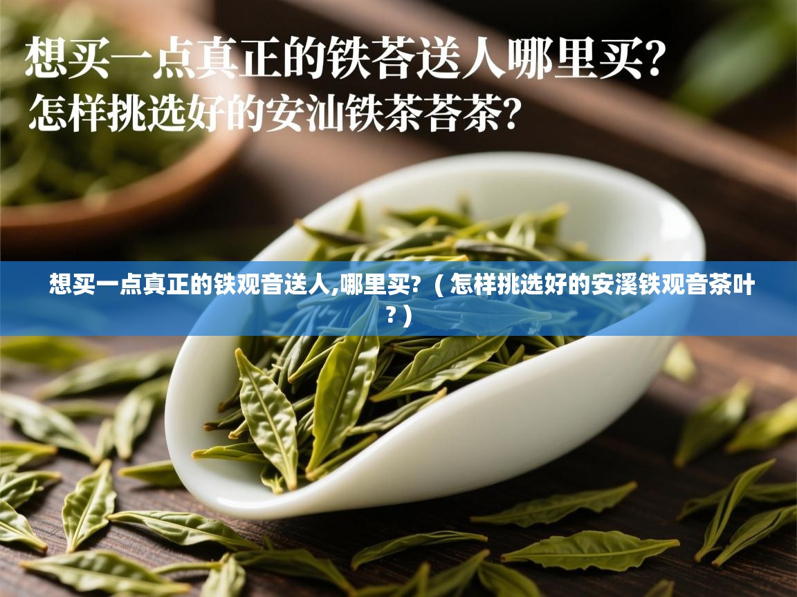 想买一点真正的铁观音送人,哪里买?  ( 怎样挑选好的安溪铁观音茶叶? )  想买一点真正的铁观音送人,哪里买?  ( 怎样挑选好的安溪铁观音茶叶? )