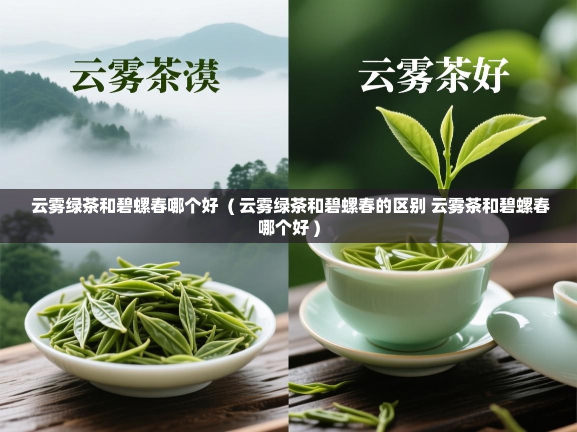  云雾绿茶和碧螺春哪个好  ( 云雾绿茶和碧螺春的区别 云雾茶和碧螺春哪个好 )