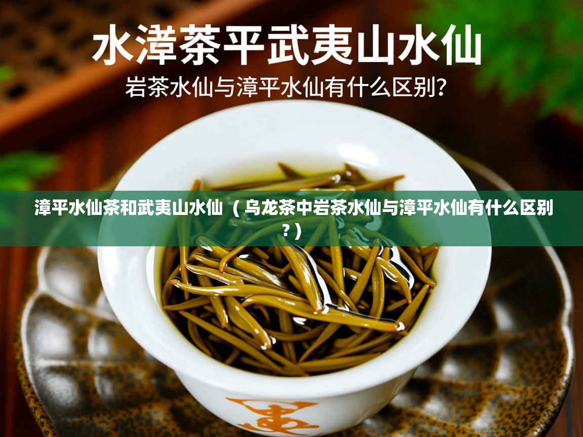 漳平水仙茶和武夷山水仙  ( 乌龙茶中岩茶水仙与漳平水仙有什么区别? )  漳平水仙茶和武夷山水仙  ( 乌龙茶中岩茶水仙与漳平水仙有什么区别? )
