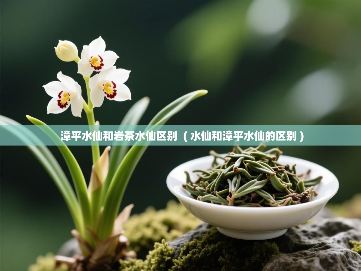 详细阅读: 漳平水仙和岩茶水仙区别  ( 水仙和漳平水仙的区别 )  漳平水仙和岩茶水仙区别  ( 水仙和漳平水仙的区别 )