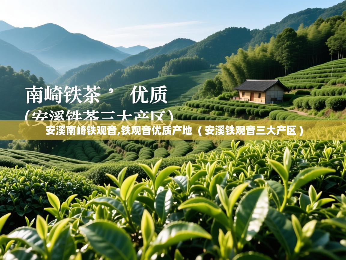 安溪南崎铁观音,铁观音优质产地  ( 安溪铁观音三大产区 )  安溪南崎铁观音,铁观音优质产地  ( 安溪铁观音三大产区 )