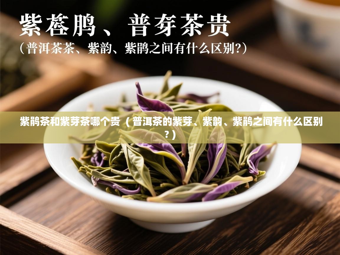 紫鹃茶和紫芽茶哪个贵  ( 普洱茶的紫芽、紫韵、紫鹃之间有什么区别? )  紫鹃茶和紫芽茶哪个贵  ( 普洱茶的紫芽、紫韵、紫鹃之间有什么区别? )