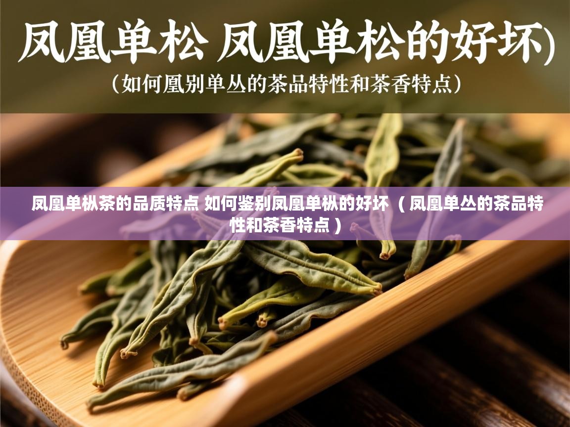 凤凰单枞茶的品质特点 如何鉴别凤凰单枞的好坏  ( 凤凰单丛的茶品特性和茶香特点 )  凤凰单枞茶的品质特点 如何鉴别凤凰单枞的好坏  ( 凤凰单丛的茶品特性和茶香特点 )