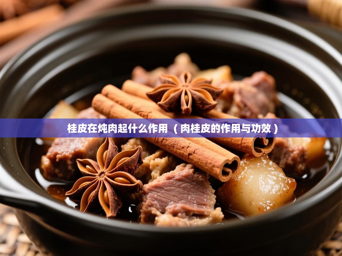  桂皮在炖肉起什么作用  ( 肉桂皮的作用与功效 )