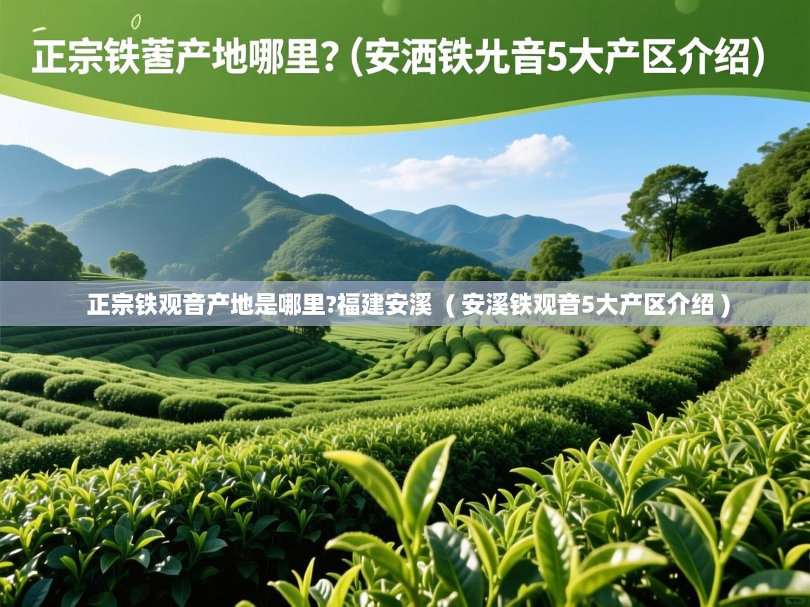 正宗铁观音产地是哪里?福建安溪  ( 安溪铁观音5大产区介绍 )  正宗铁观音产地是哪里?福建安溪  ( 安溪铁观音5大产区介绍 )
