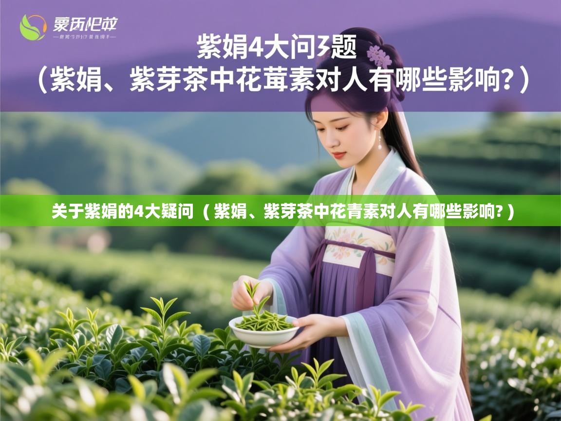 关于紫娟的4大疑问  ( 紫娟、紫芽茶中花青素对人有哪些影响? )  关于紫娟的4大疑问  ( 紫娟、紫芽茶中花青素对人有哪些影响? )