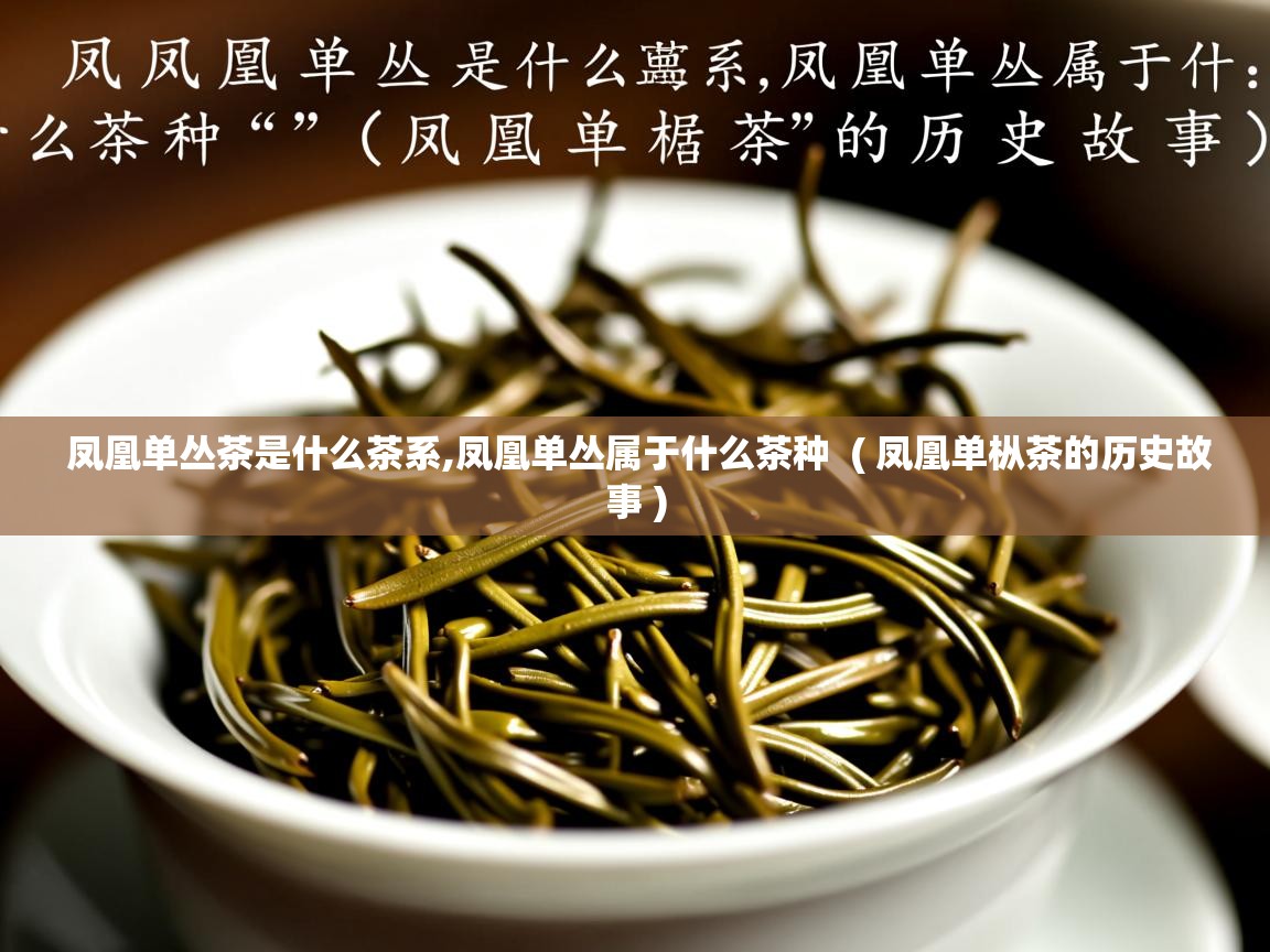  凤凰单丛茶是什么茶系,凤凰单丛属于什么茶种  ( 凤凰单枞茶的历史故事 )