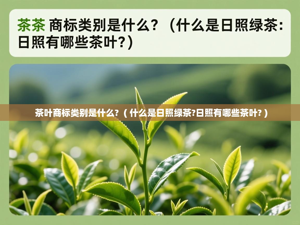 茶叶商标类别是什么?  ( 什么是日照绿茶?日照有哪些茶叶? )  茶叶商标类别是什么?  ( 什么是日照绿茶?日照有哪些茶叶? )