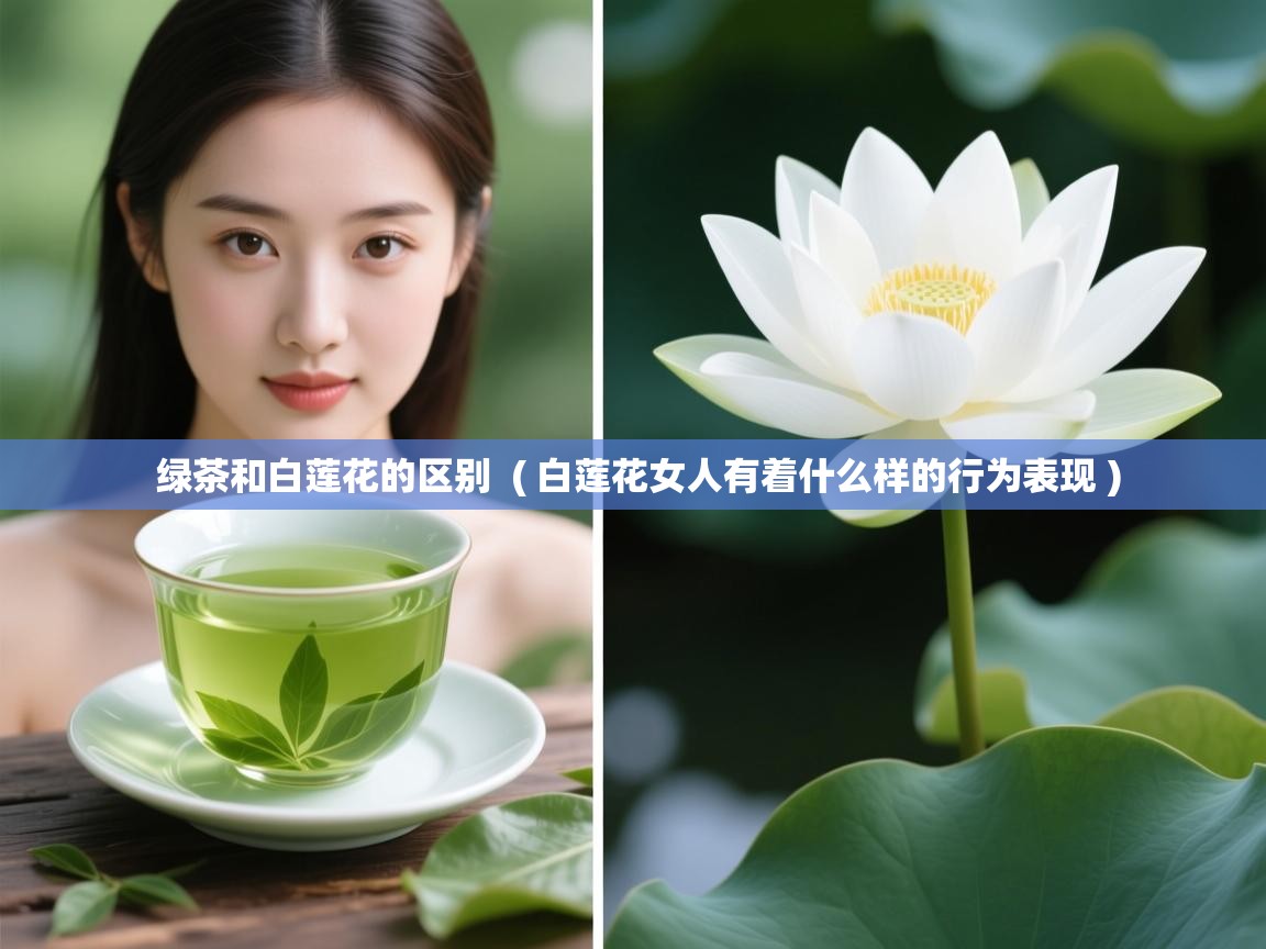 绿茶和白莲花的区别  ( 白莲花女人有着什么样的行为表现 )  绿茶和白莲花的区别  ( 白莲花女人有着什么样的行为表现 )