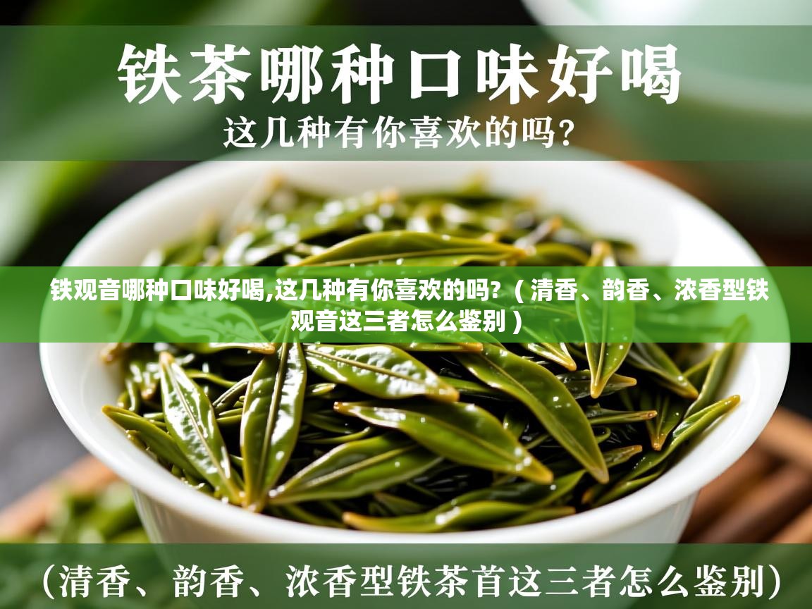 铁观音哪种口味好喝,这几种有你喜欢的吗?  ( 清香、韵香、浓香型铁观音这三者怎么鉴别 )  铁观音哪种口味好喝,这几种有你喜欢的吗?  ( 清香、韵香、浓香型铁观音这三者怎么鉴别 )