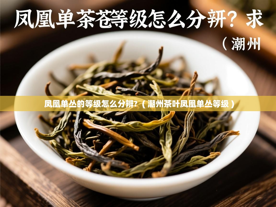 凤凰单丛的等级怎么分辨?  ( 潮州茶叶凤凰单丛等级 )  凤凰单丛的等级怎么分辨?  ( 潮州茶叶凤凰单丛等级 )