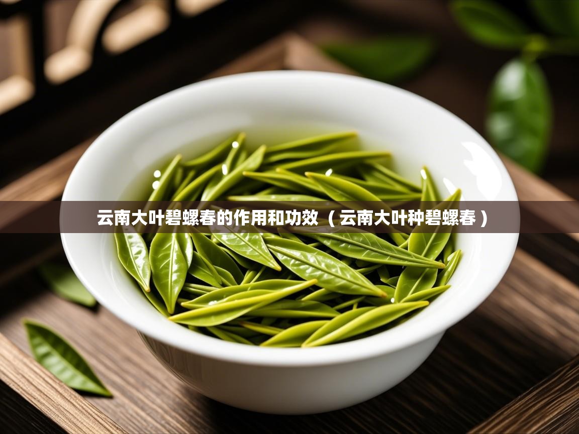 详细阅读: 云南大叶碧螺春的作用和功效  ( 云南大叶种碧螺春 )  云南大叶碧螺春的作用和功效  ( 云南大叶种碧螺春 )