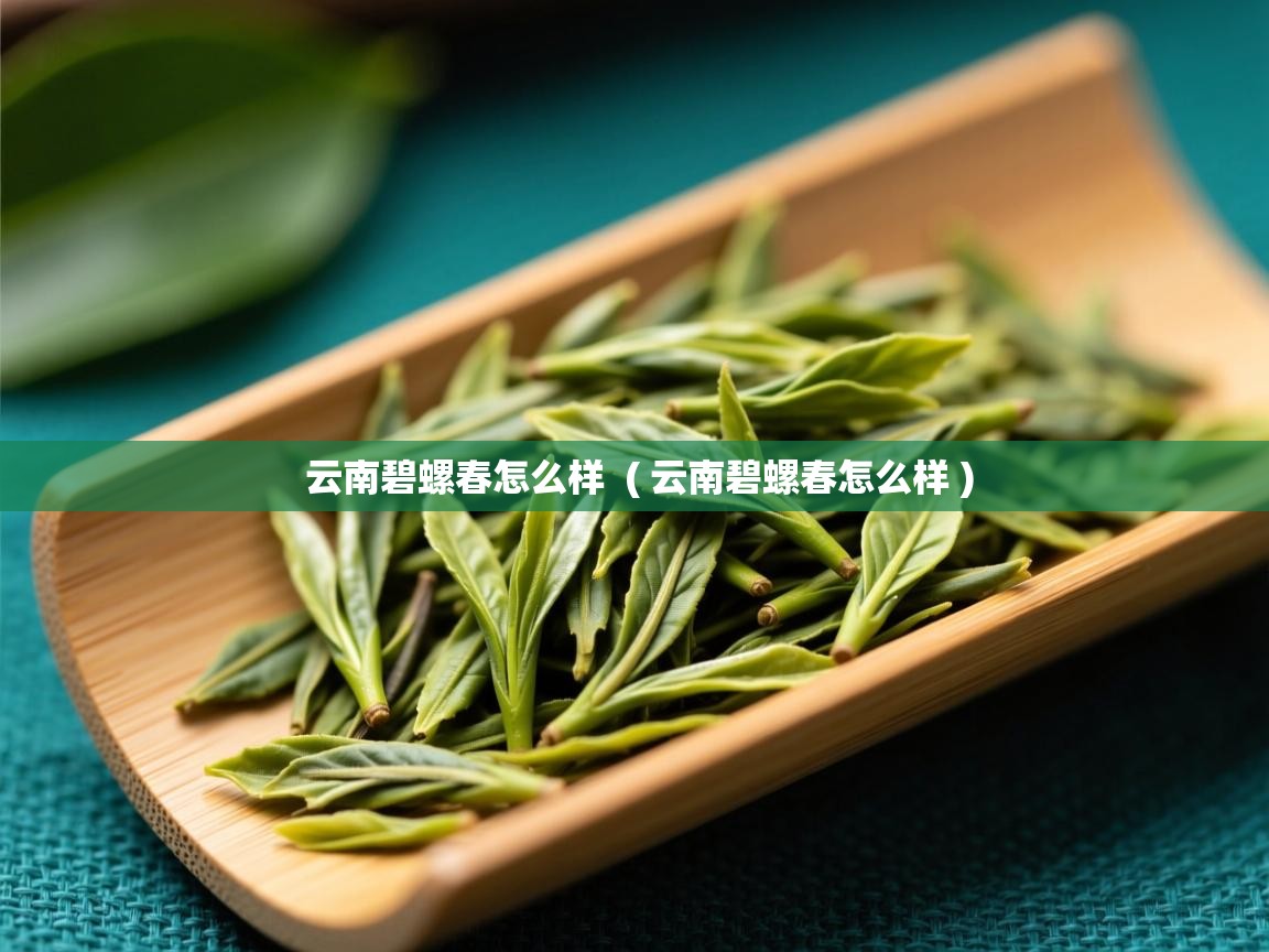 云南碧螺春怎么样  ( 云南碧螺春怎么样 )  云南碧螺春怎么样  ( 云南碧螺春怎么样 )