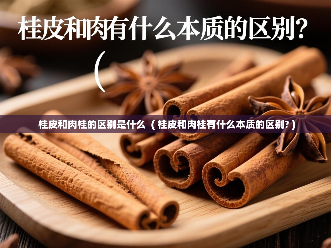  桂皮和肉桂的区别是什么  ( 桂皮和肉桂有什么本质的区别? )