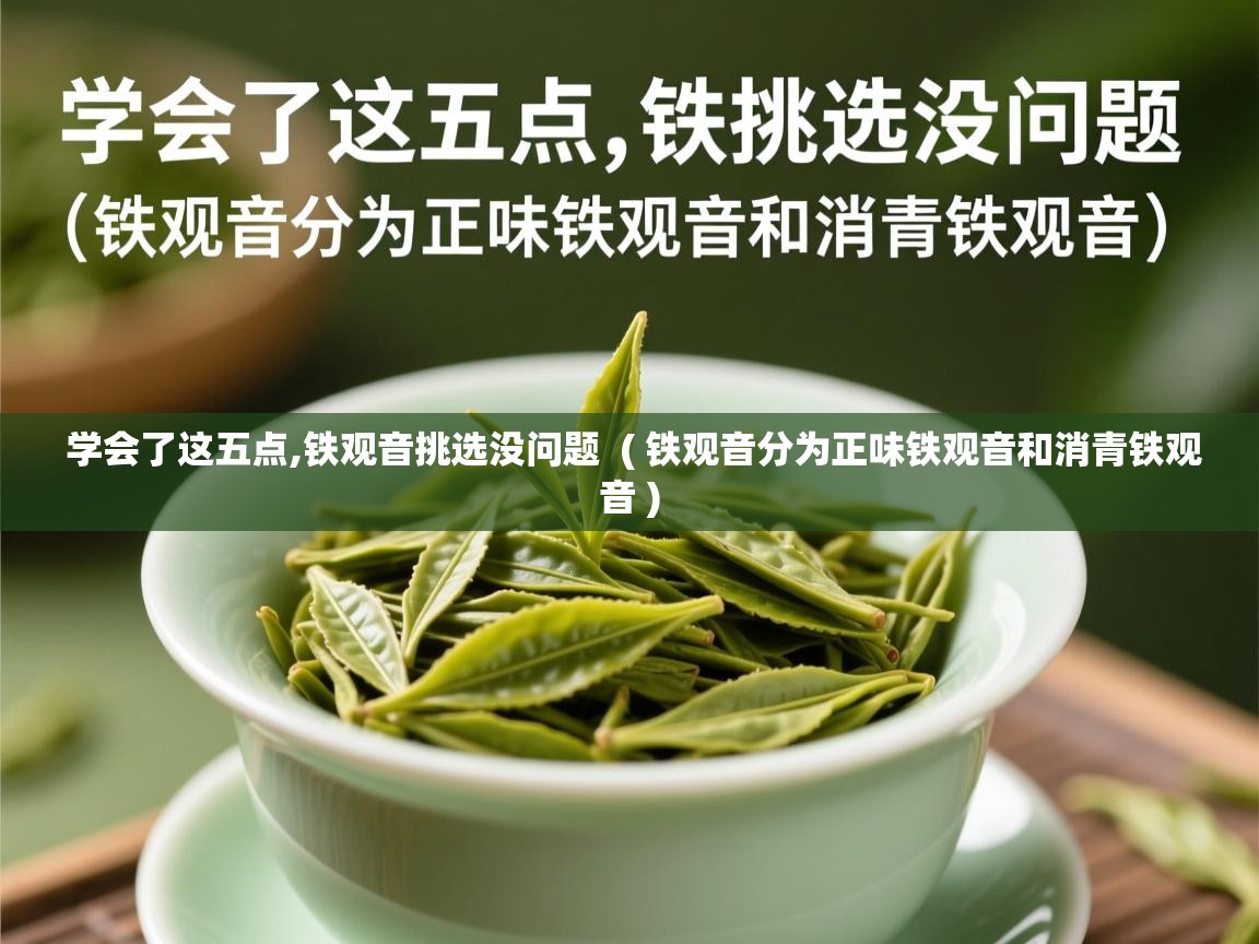 学会了这五点,铁观音挑选没问题  ( 铁观音分为正味铁观音和消青铁观音 )  学会了这五点,铁观音挑选没问题  ( 铁观音分为正味铁观音和消青铁观音 )