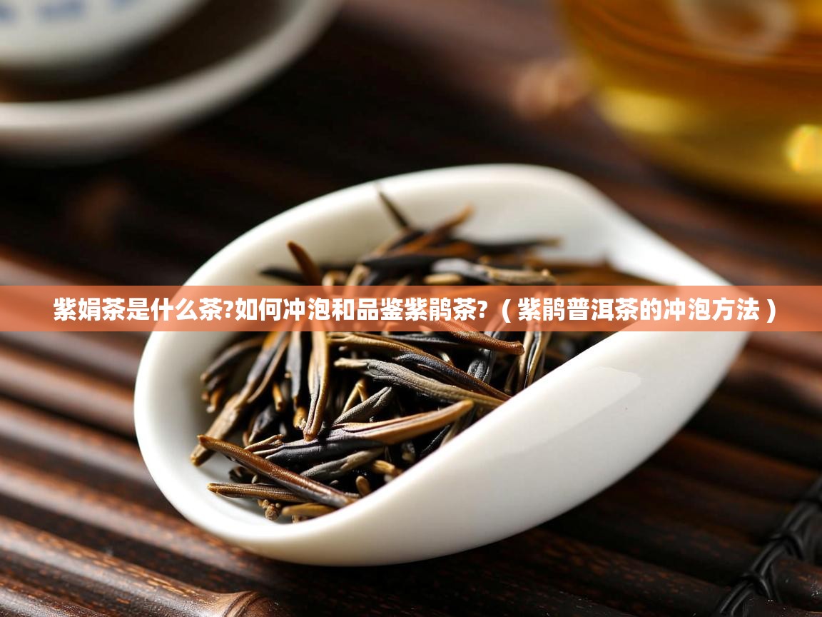 紫娟茶是什么茶?如何冲泡和品鉴紫鹃茶?  ( 紫鹃普洱茶的冲泡方法 )  紫娟茶是什么茶?如何冲泡和品鉴紫鹃茶?  ( 紫鹃普洱茶的冲泡方法 )