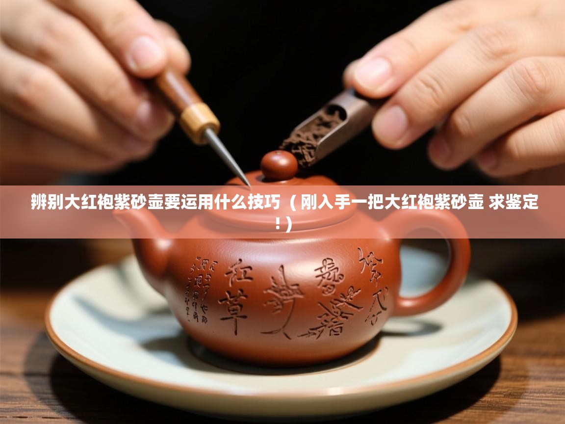  辨别大红袍紫砂壶要运用什么技巧  ( 刚入手一把大红袍紫砂壶 求鉴定! )