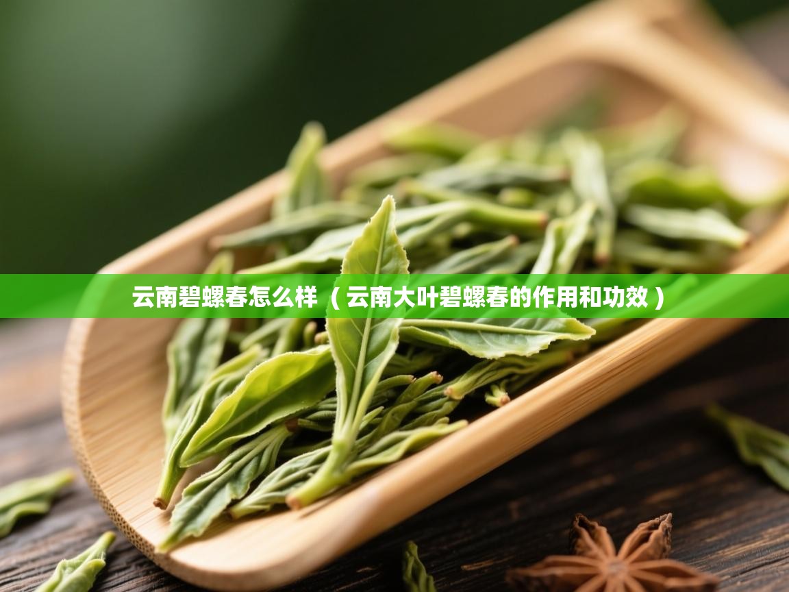 云南碧螺春怎么样  ( 云南大叶碧螺春的作用和功效 )  云南碧螺春怎么样  ( 云南大叶碧螺春的作用和功效 )