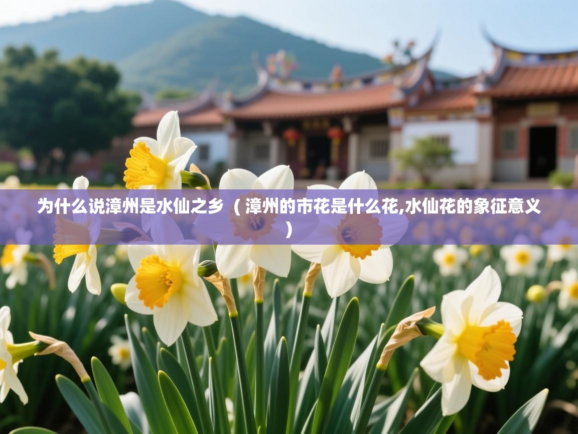为什么说漳州是水仙之乡  ( 漳州的市花是什么花,水仙花的象征意义 )  为什么说漳州是水仙之乡  ( 漳州的市花是什么花,水仙花的象征意义 )
