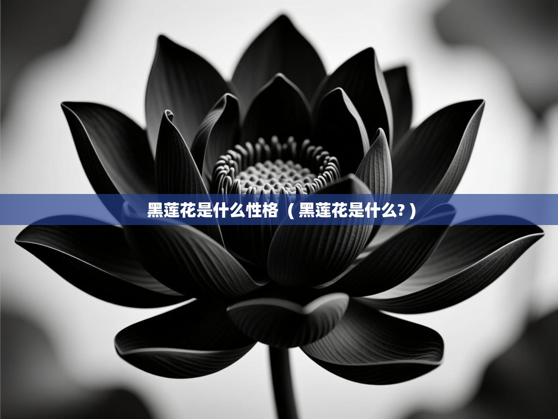 黑莲花是什么性格  ( 黑莲花是什么? )  黑莲花是什么性格  ( 黑莲花是什么? )