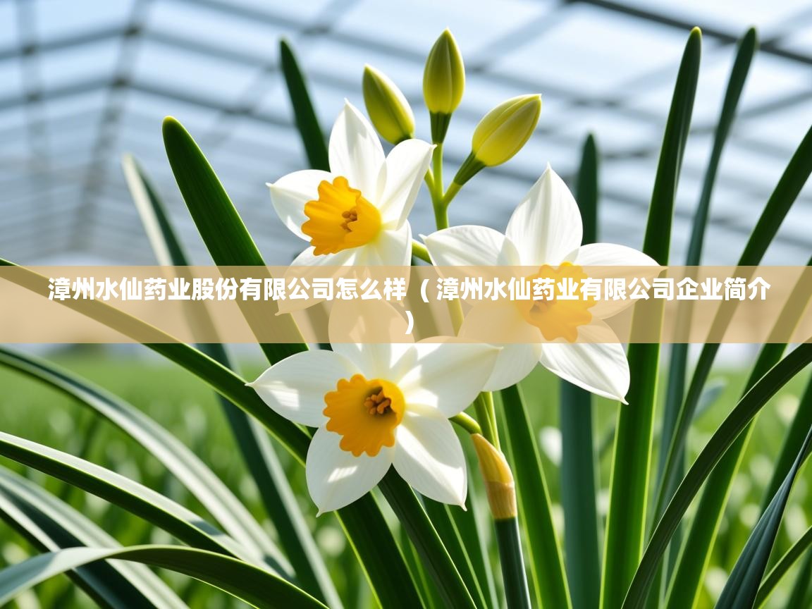 漳州水仙药业股份有限公司怎么样  ( 漳州水仙药业有限公司企业简介 )  漳州水仙药业股份有限公司怎么样  ( 漳州水仙药业有限公司企业简介 )