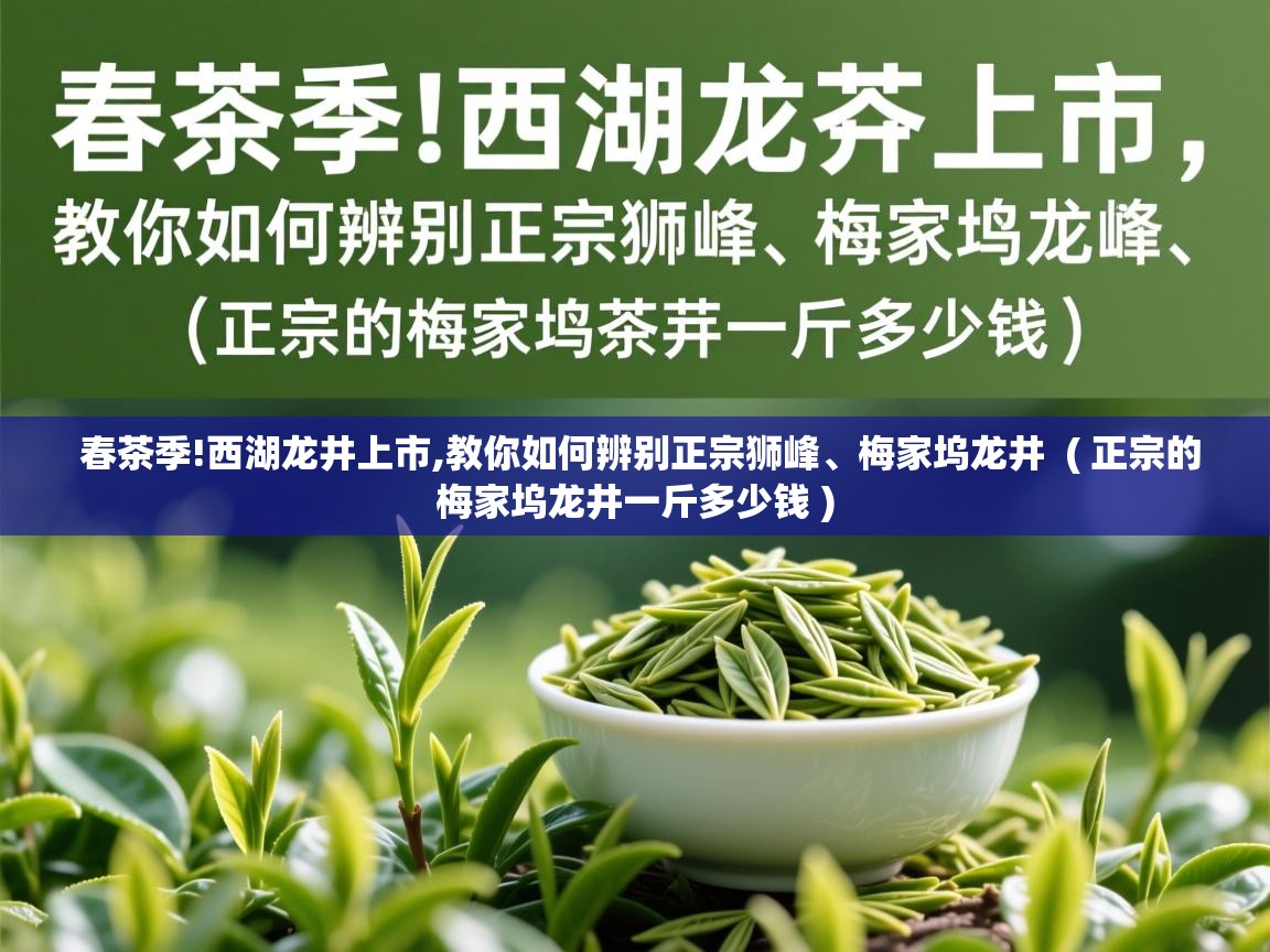 春茶季!西湖龙井上市,教你如何辨别正宗狮峰、梅家坞龙井  ( 正宗的梅家坞龙井一斤多少钱 )  春茶季!西湖龙井上市,教你如何辨别正宗狮峰、梅家坞龙井  ( 正宗的梅家坞龙井一斤多少钱 )