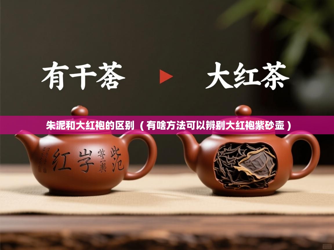 朱泥和大红袍的区别  ( 有啥方法可以辨别大红袍紫砂壶 )  朱泥和大红袍的区别  ( 有啥方法可以辨别大红袍紫砂壶 )